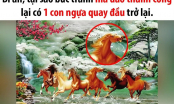Bức tranh phong thủy “Mã đáo thành công” luôn có một con ngựa quay đầu: Tại sao lại vậy?