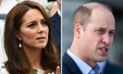 Rộ tin Kate và William ly hôn: Bi kịch bên trong cung điện, Kate bị phản bội vì xinh đẹp tài giỏi giống Diana