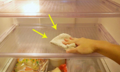 Lau tủ lạnh đừng chỉ dùng nước lã: Nhớ thêm 2 nguyên liệu rẻ tiền để tủ hết mùi hôi, diệt sạch khuẩn