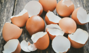 Cho vỏ trứng vào chảo rang khô: Mẹo hay mang đến lợi ích lớn, giải quyết vấn đề nhà nào cũng gặp