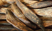 Món cá cứng như gỗ giá hơn 1 triệu đồng/kg người Việt đổ xô mua là bí quyết trường thọ của người Nhật