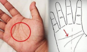 Lòng bàn tay có 4 dấu hiệu này dự báo số mệnh phú quý, sớm muộn cũng phát tài