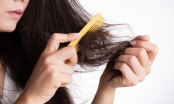 Bật mí tips chọn dầu gội phù hợp để đối phó với tình trạng tóc rụng như lá mùa thu