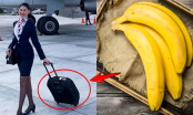 Lý do tiếp viên hàng không thường mang một quả chuối lên máy bay: Hóa ra là vì 1 mục đích quan trọng