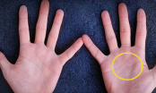 Lòng bàn tay có 4 dấu hiệu này, bất kể nam hay nữ đều có lộc, cả đời không lo thiếu tiền