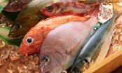 Người bán cá không bao giờ muốn bạn biết: 4 loại cá bẩn nhất chợ, bổ béo đâu không thấy, chỉ rước thêm bệnh