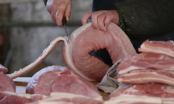 Dân gian truyền kinh nghiệm: Đừng mua thịt lợn sớm, đừng mua đậu phụ muộn, vì sao vậy?