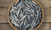 5 loại cá ngọt thịt, không hóa chất được mệnh danh là sâm nước: Quý hơn thuốc bổ, tổ yến đừng bỏ qua