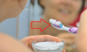 Nhúng kem đánh răng vào nước trước khi đánh răng có đúng không? 90% làm sai mà không biết