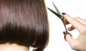 Bao lâu bạn cắt tóc một lần? Cắt tóc thường xuyên sẽ giúp tóc đẹp hơn, mỗi lần cắt ít thôi cũng được