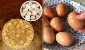 Không cần cho trứng vào tủ lạnh: Dùng cách này để bảo quản trứng, cả tháng vẫn tươi ngon mà không tốn điện