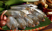 Không phải cá hồi, đây mới là 3 loại cá giàu omega-3, có loại người Nhật ăn mỗi ngày