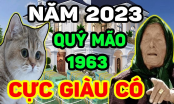 Gặp được quý nhân: 4 tuổi đạp gió rẽ sóng, cá chép hóa Rồng cuối năm Quý Mão