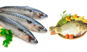 5 loại cá được ví là sâm nước ngọt đi chợ nhìn thấy đừng bỏ qua: Đặc biệt loại thứ 3, cực rẻ