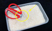 Cắm kéo vào thùng gạo: Mẹo hay mang lại nhiều công dụng, tiết kiệm tiền triệu mỗi năm