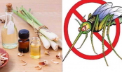 7 cách đuổi và diệt muỗi hiệu quả bằng loại nguyên liệu nhà nào cũng có