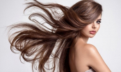 Muốn tóc chắc khỏe ít rụng, bạn nên chọn loại dầu gội chứa 3 thành phần này