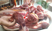 Cách phân biệt thịt lợn mán chuẩn xịn và thịt lợn mán giả, chẳng lo người bán qua mặt