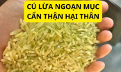 Cơn sốt gạo Séng cù xanh, đừng dại mua, bị lừa tốn tiền lại còn có nguy cơ rước bệnh
