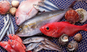 4 loại cá ngậm nhiều thủy ngân nhất chợ: Đặc biệt loại thứ 2 cho không cũng đừng lấy