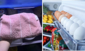 Đặt một chiếc khăn trong tủ lạnh: Công dụng tuyệt vời nhà nào cũng cần