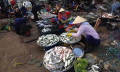 Những loại cá bẩn nhất chợ, nhiều người không biết còn hay mua về bồi dưỡng, xem lại ngay, cẩn thận rước bệnh
