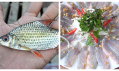 5 loại cá nước ngọt gây K gan, người Việt Nam tthường ăn mà không hay biết