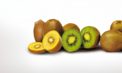 Trái Kiwi vàng hay xanh tốt hơn? Người bán mách cách chọn kiwi chuẩn ngon từng quả