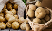 Đừng bảo quản khoai tây trong tủ lạnh, làm theo cách này khoai để vài tháng không bị xanh vỏ, mọc mầm