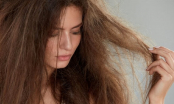 Bỏ túi những tips cơ bản giúp phục hồi mái tóc hư tổn, chẻ ngọn và khô xơ