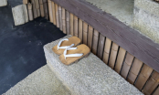 Tại sao người Nhật luôn cởi giày dép trước khi vào nhà? Biết lý do ai cũng sẽ làm theo