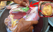 Bụng gà có cục mỡ dày cộm: Người sành ăn mới biết giữ lại, người dại vứt bỏ đi ngay
