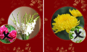 Các cụ dặn: 3 loại hoa đi tảo mộ con cháu được lộc, 2 loại hoa xui xẻo mất hết lộc, hãy nhớ kỹ