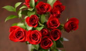 Có nên cắm hoa hồng đỏ lên bàn thờ không?