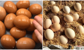 Mua trứng về đừng vội bỏ ngay vào tủ lạnh: Học theo nông dân Nhật Bản để cả năm cũng không lo hỏng