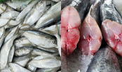 4 loại cá biển tốt nhất nên ăn mỗi tuần, đi chợ đừng tiếc tiền mua vì bạn sẽ giảm được tiền mua thuốc
