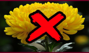 3 loại hoa 2 loại quả để trên bàn thờ là mất lộc: Ngày Rằm, Tết nhất gia chủ nhớ mà tránh