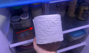 Bỏ 1 cuộn giấy vệ sinh vào tủ lạnh, sáng ra mở tủ thấy ngay lợi ích quý