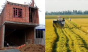 Năm 2024: Trường hợp xây nhà trên đất nông nghiệp bị tháo dỡ và phạt lên tới 500 triệu đồng?