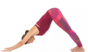 4 động tác yoga giúp thải độc tố và nuôi dưỡng làn da trẻ đẹp