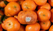 4 loại trái cây dễ đánh thức tế bào ung thư, dù ngon đến mấy cũng không nên ăn