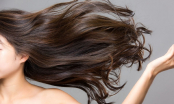 Nếu muốn duy trì vẻ đẹp cho mái tóc, bạn cần ghim ngay 5 tips chống lão hóa tóc hiệu quả sau