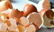 Vỏ trứng còn nhiều công dụng mà nhiều người chưa biết, đừng vứt bỏ hãy làm ngay cách này, vỏ trứng giúp tiết kiệm