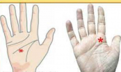 5 dấu hiệu trên bàn tay số hưởng, dễ thành đại gia nhưng có 2 điểm này dự báo cuộc đời vất vả