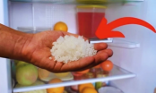 Đặt 1 bát muối trong tủ lạnh: Công dụng tuyệt vời nhà ai cũng muốn làm theo