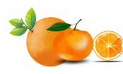 5 loại trái cây còn giàu vitamin C hơn quả cam nên chớ bỏ qua