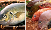 4 loại cá chứa nhiều thủy ngân nhất chợ: Dù rẻ như cho cũng đừng mua