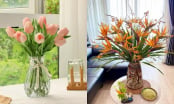 Thầy phong thuỷ dặn kỹ: Phòng khách dù to hay nhỏ cũng đừng đặt 4 loại cây hoa này kẻo hoa vượng người héo