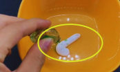 Nhỏ tinh dầu vào kem đánh răng: Mẹo nhỏ lợi ích cưc lớn mà nhiều người chưa biết