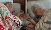 Hành động của cặp đôi trăm tuổi trước lúc qua đời khiến bạn rơi lệ